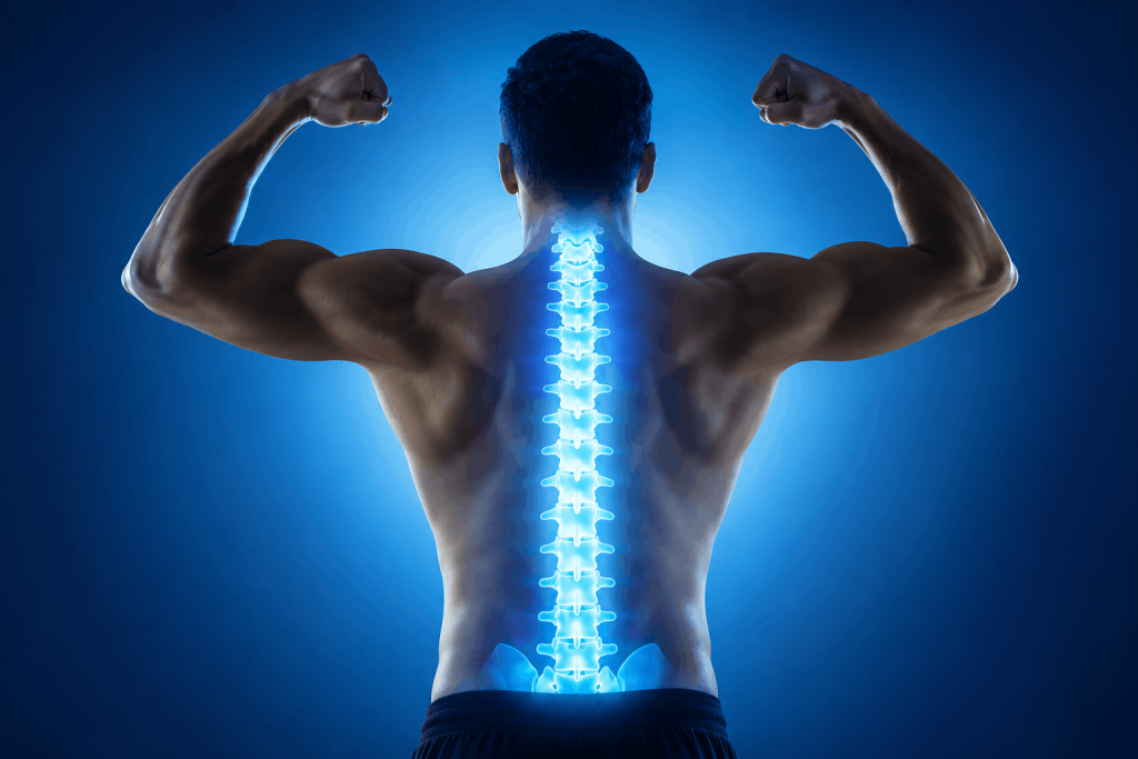 los angeles chiropractor